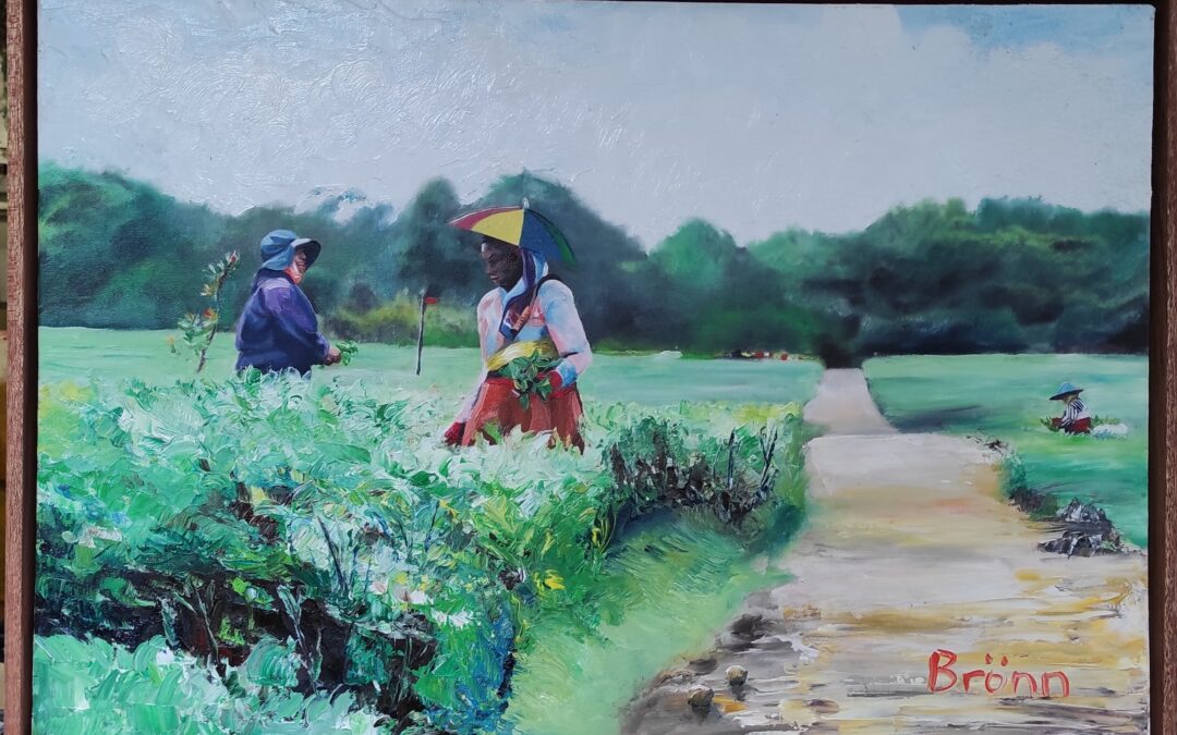 Painting the tea plantation workers in Mauritius
